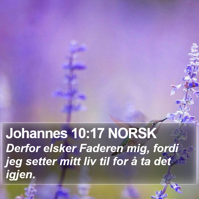Johannes 10:17 NORSK Bible Study