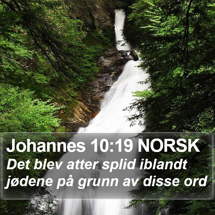 Johannes 10:19 NORSK Bible Study