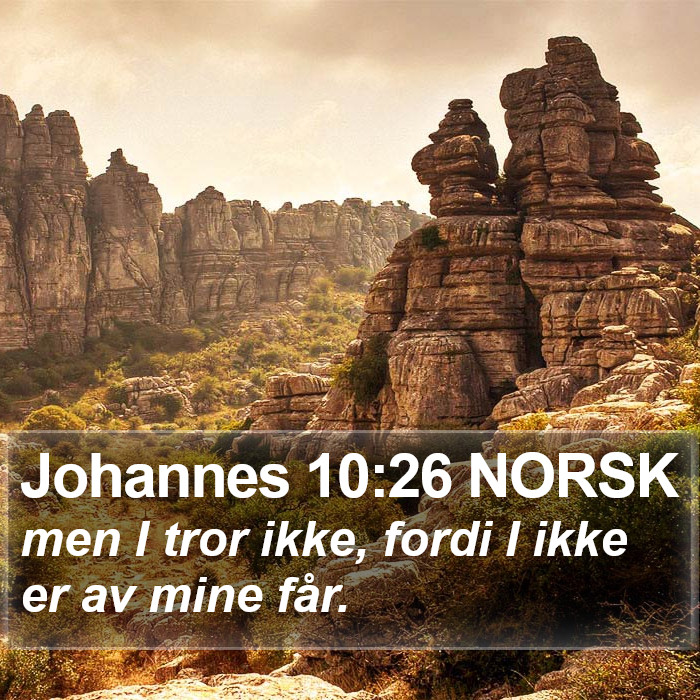 Johannes 10:26 NORSK Bible Study