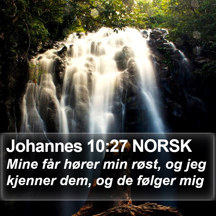 Johannes 10:27 NORSK Bible Study