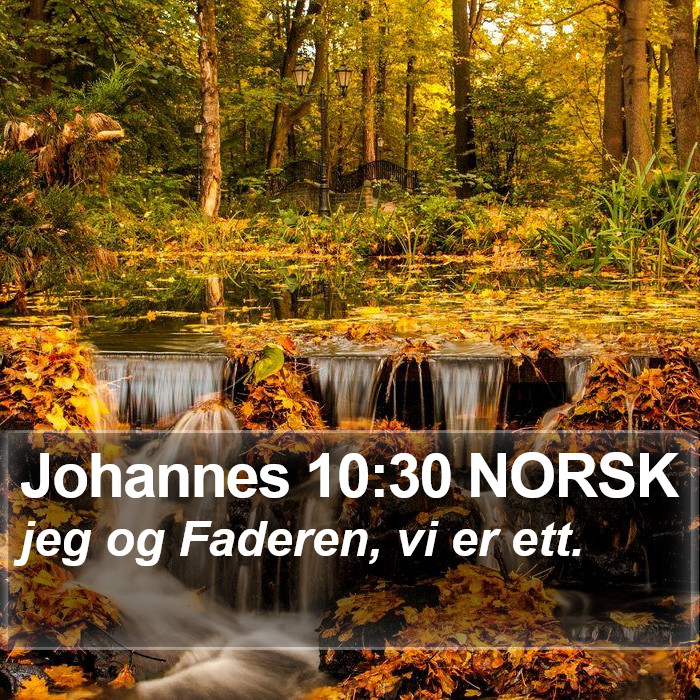 Johannes 10:30 NORSK Bible Study