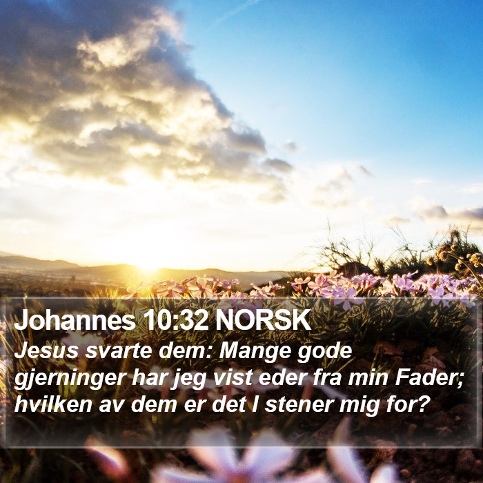 Johannes 10:32 NORSK Bible Study