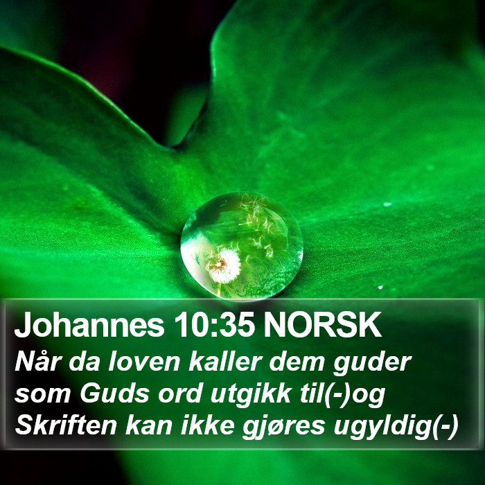 Johannes 10:35 NORSK Bible Study