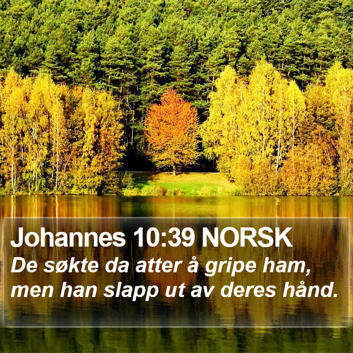Johannes 10:39 NORSK Bible Study