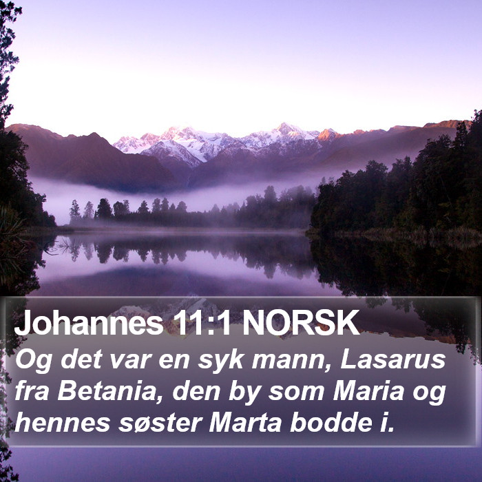 Johannes 11:1 NORSK Bible Study