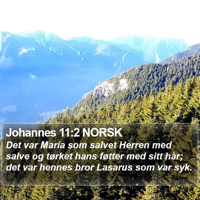 Johannes 11:2 NORSK Bible Study