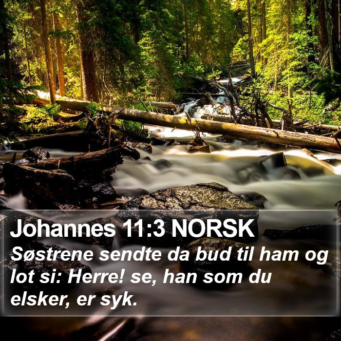 Johannes 11:3 NORSK Bible Study