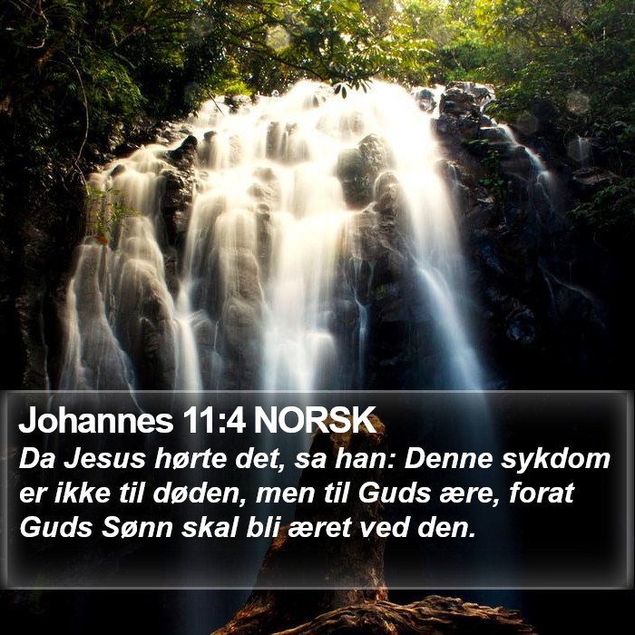 Johannes 11:4 NORSK Bible Study