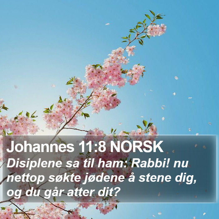 Johannes 11:8 NORSK Bible Study