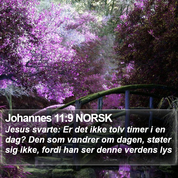 Johannes 11:9 NORSK Bible Study