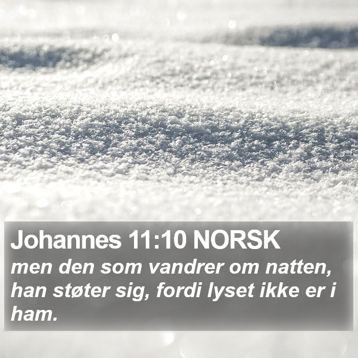 Johannes 11:10 NORSK Bible Study