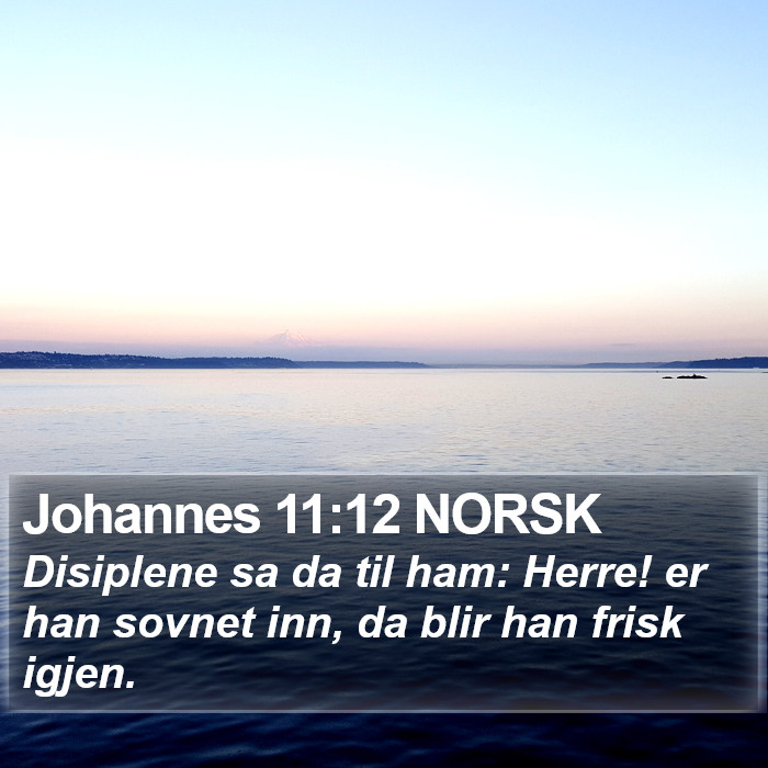 Johannes 11:12 NORSK Bible Study