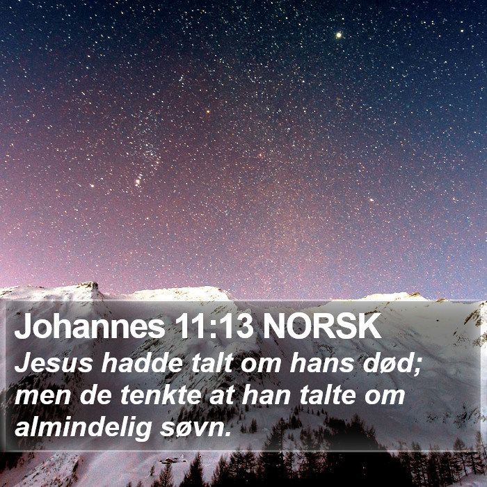 Johannes 11:13 NORSK Bible Study