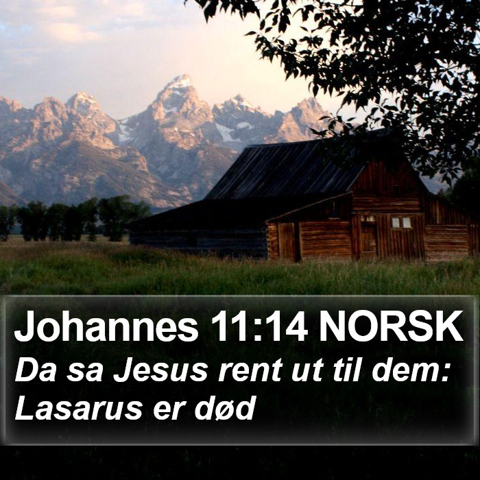 Johannes 11:14 NORSK Bible Study