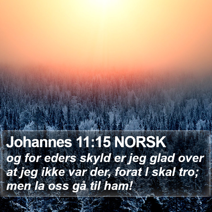 Johannes 11:15 NORSK Bible Study