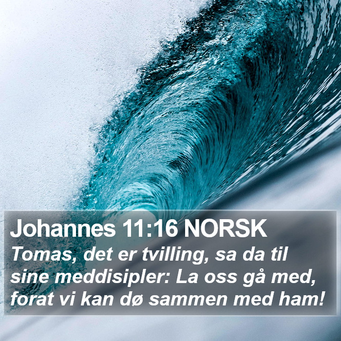 Johannes 11:16 NORSK Bible Study