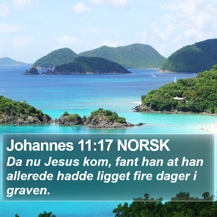 Johannes 11:17 NORSK Bible Study