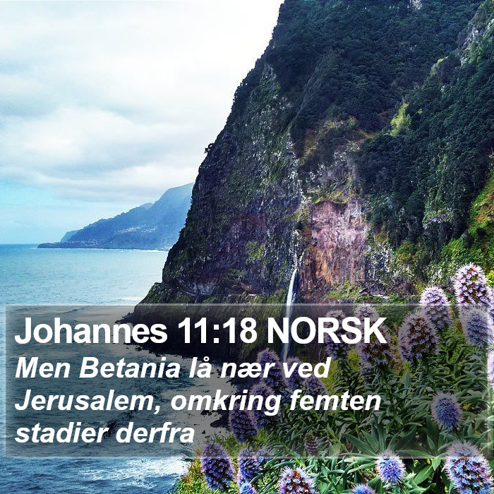 Johannes 11:18 NORSK Bible Study