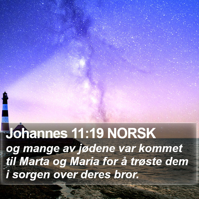 Johannes 11:19 NORSK Bible Study