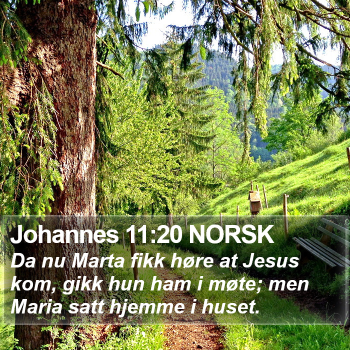 Johannes 11:20 NORSK Bible Study