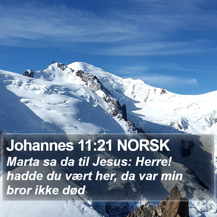 Johannes 11:21 NORSK Bible Study