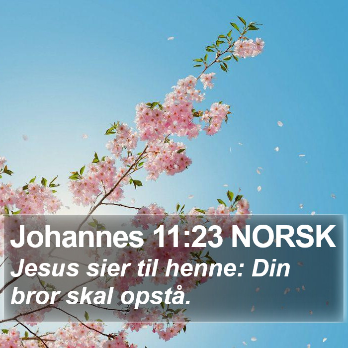 Johannes 11:23 NORSK Bible Study