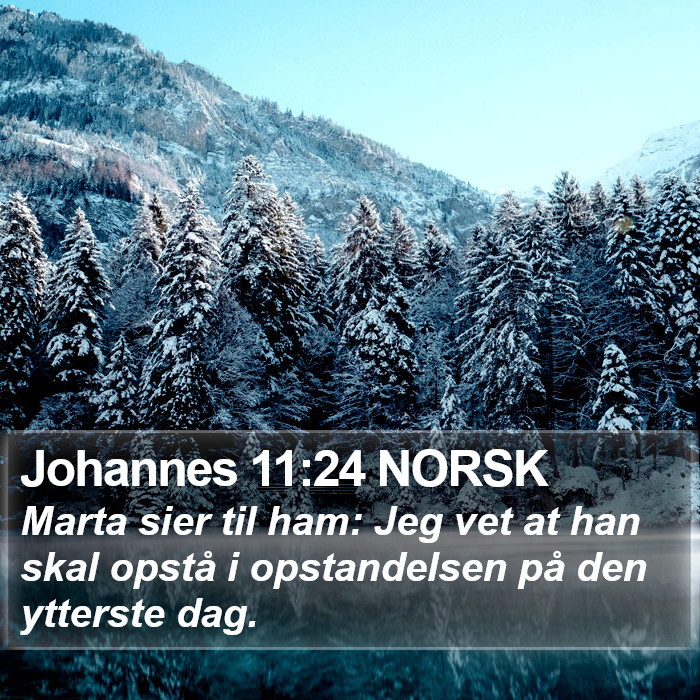 Johannes 11:24 NORSK Bible Study