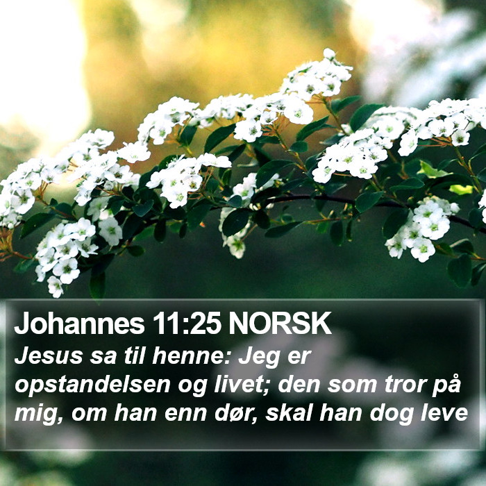 Johannes 11:25 NORSK Bible Study