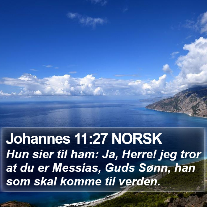 Johannes 11:27 NORSK Bible Study