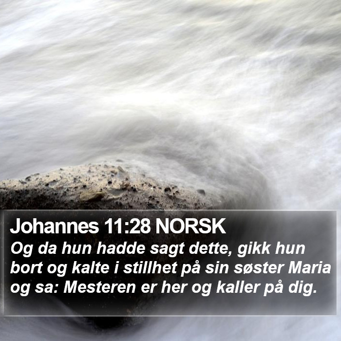 Johannes 11:28 NORSK Bible Study