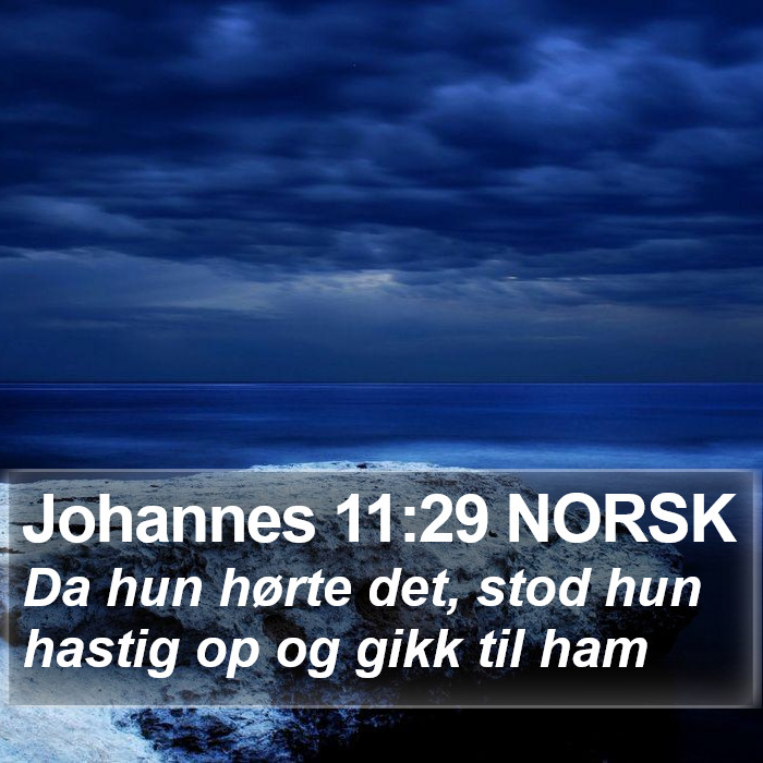 Johannes 11:29 NORSK Bible Study