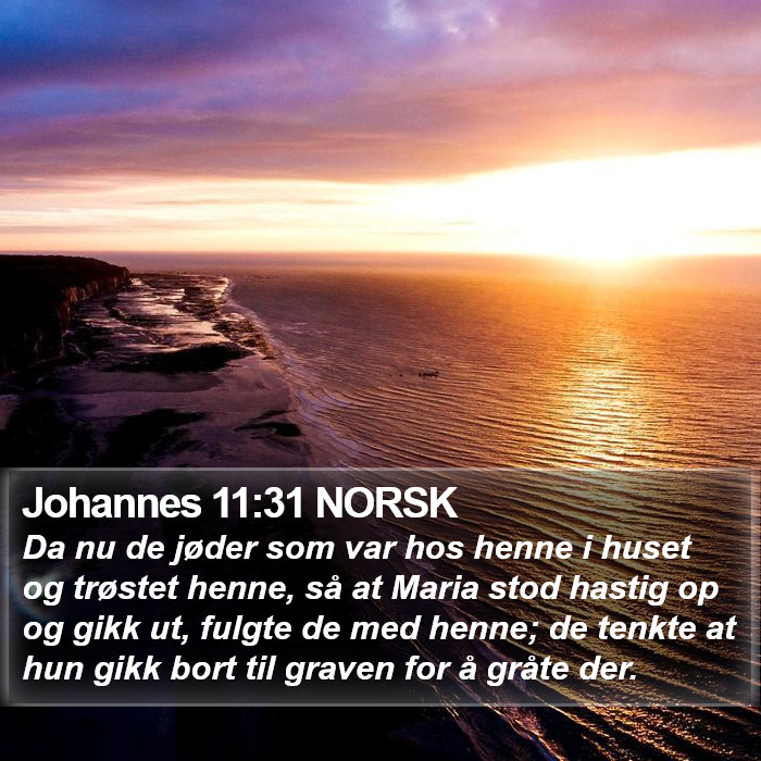 Johannes 11:31 NORSK Bible Study