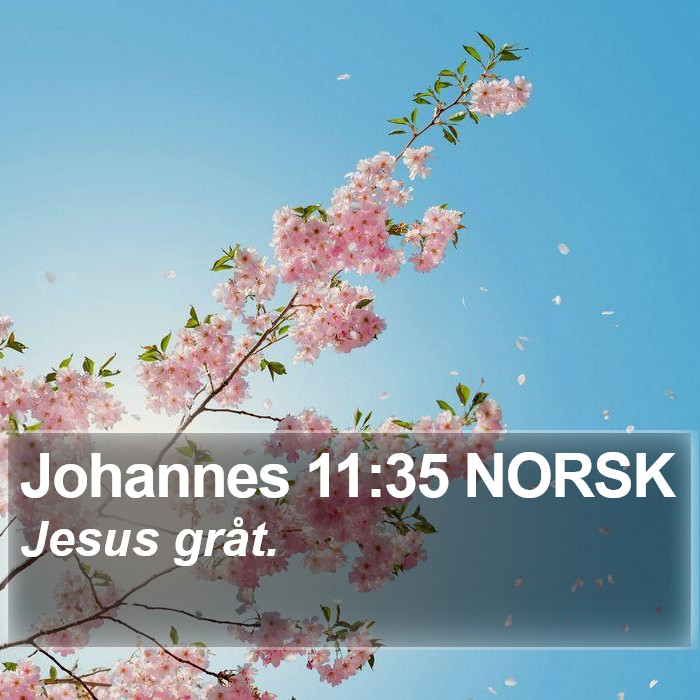 Johannes 11:35 NORSK Bible Study