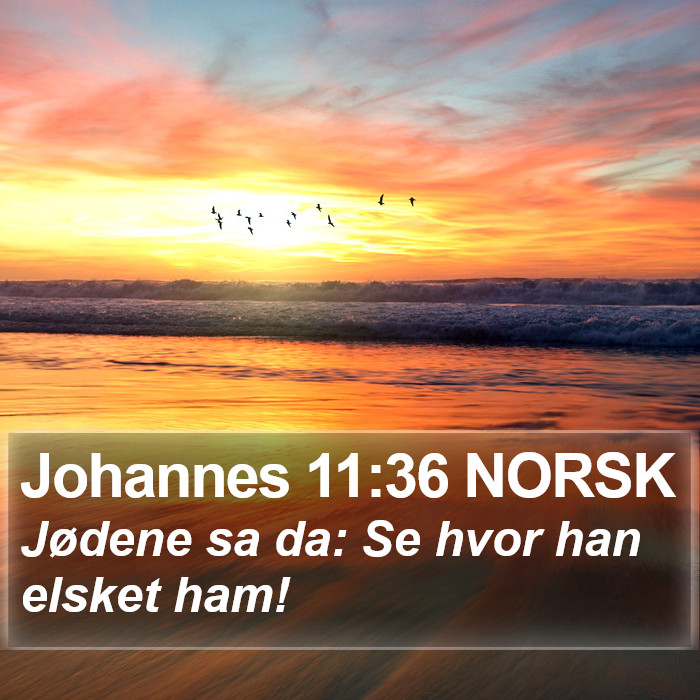 Johannes 11:36 NORSK Bible Study