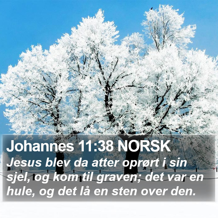 Johannes 11:38 NORSK Bible Study