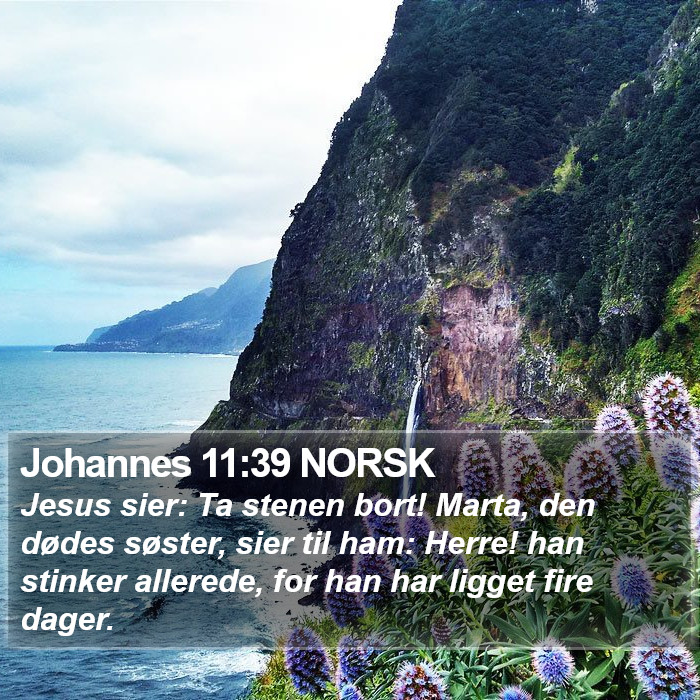 Johannes 11:39 NORSK Bible Study