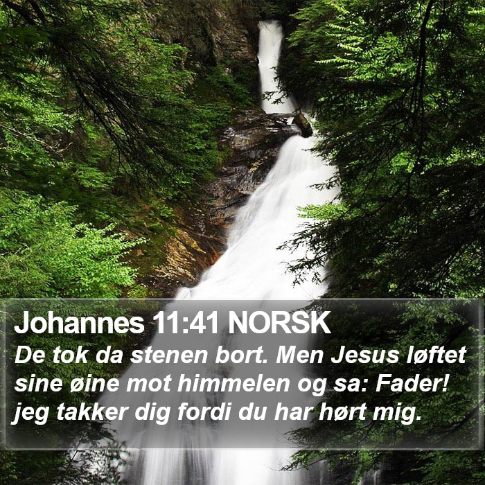 Johannes 11:41 NORSK Bible Study