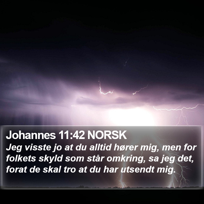 Johannes 11:42 NORSK Bible Study