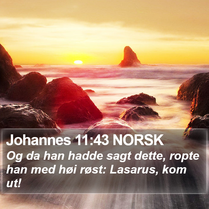 Johannes 11:43 NORSK Bible Study