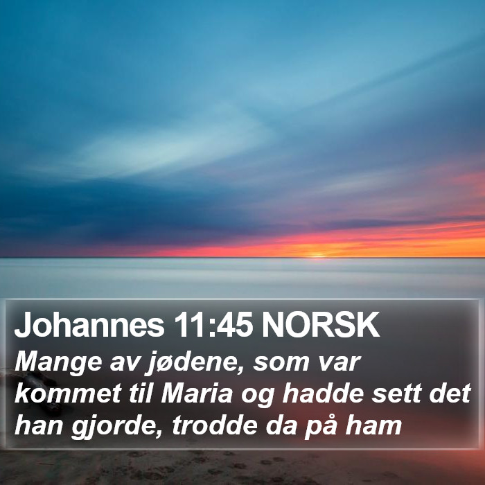 Johannes 11:45 NORSK Bible Study