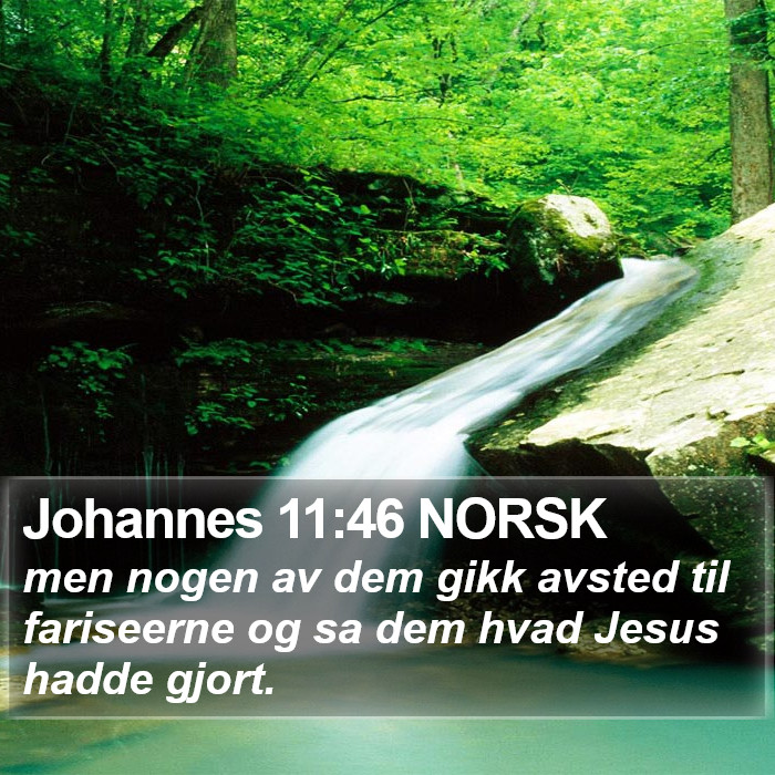 Johannes 11:46 NORSK Bible Study