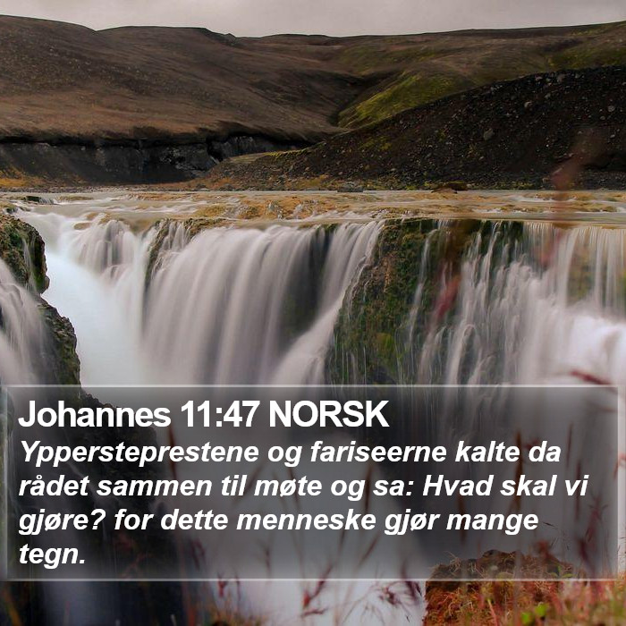 Johannes 11:47 NORSK Bible Study