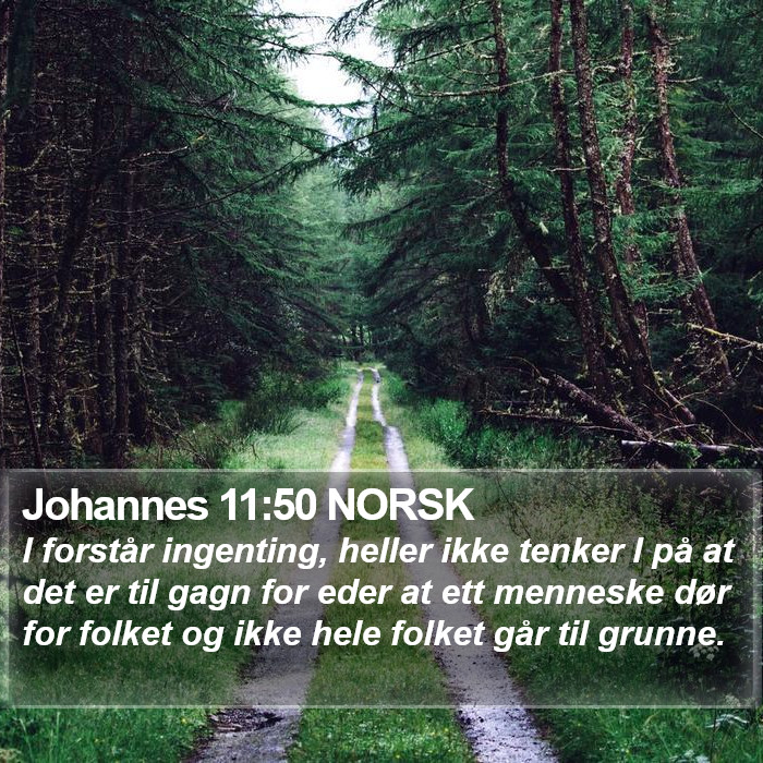 Johannes 11:50 NORSK Bible Study