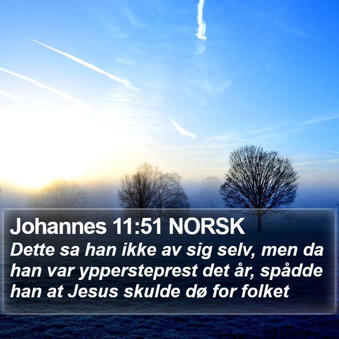 Johannes 11:51 NORSK Bible Study