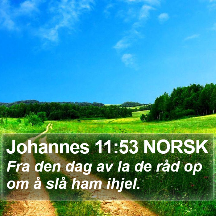 Johannes 11:53 NORSK Bible Study