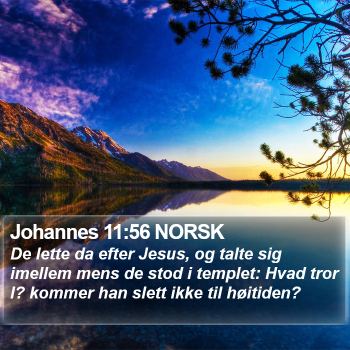 Johannes 11:56 NORSK Bible Study