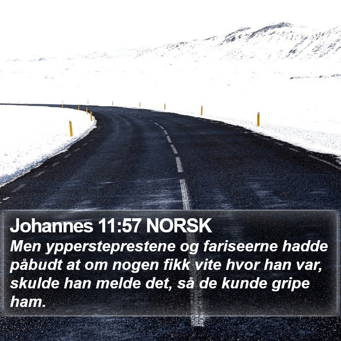 Johannes 11:57 NORSK Bible Study