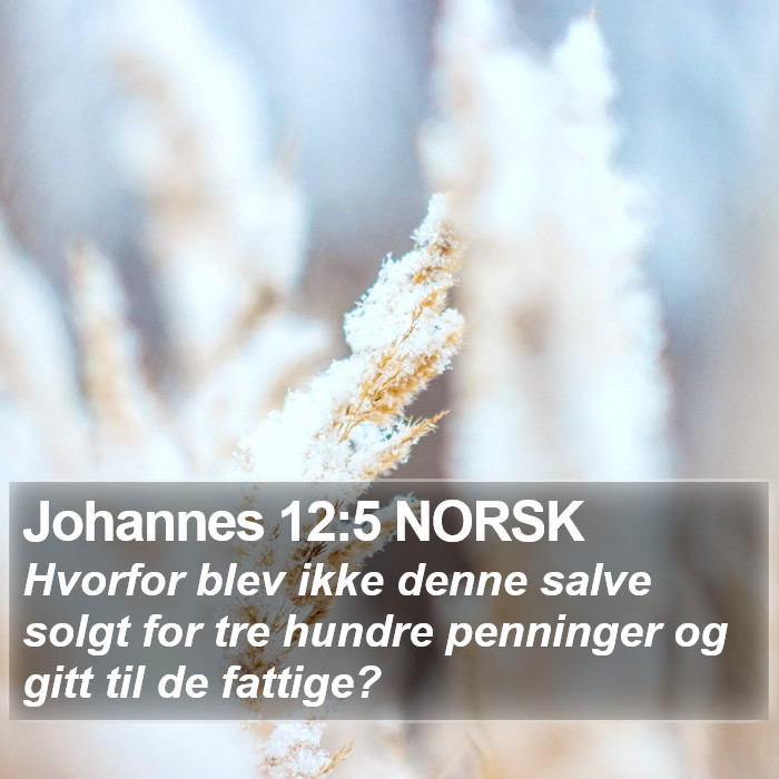 Johannes 12:5 NORSK Bible Study