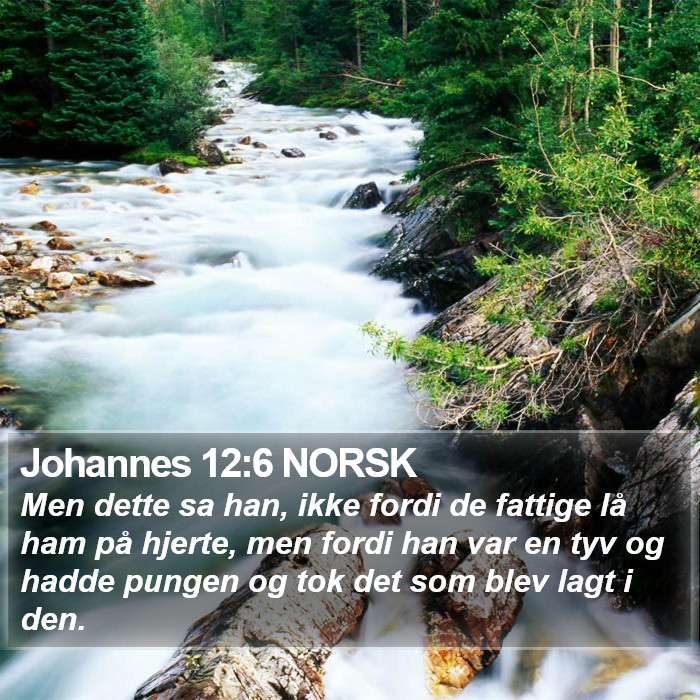 Johannes 12:6 NORSK Bible Study