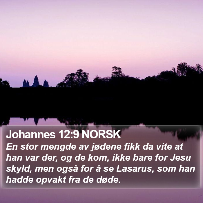 Johannes 12:9 NORSK Bible Study